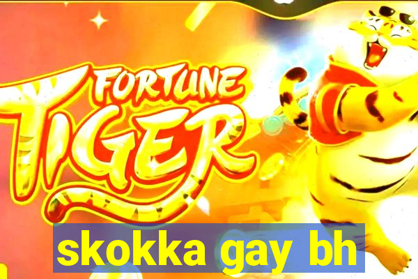 skokka gay bh